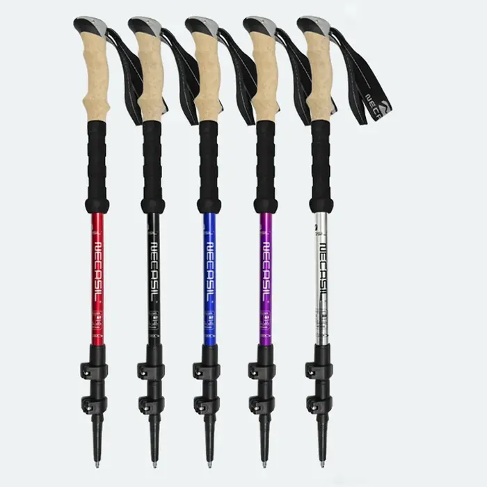 Alpenstock-Bâtons de trekking télescopiques