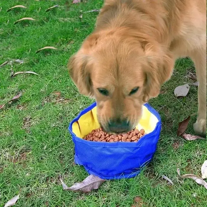 Conteneur à eau pour chien de grande capacité, bol à eau pliable pour chien, sac de rangement pour nourriture, bol pliable pour animaux de compagnie pour la randonnée en plein air, les voyages, 1100 m
