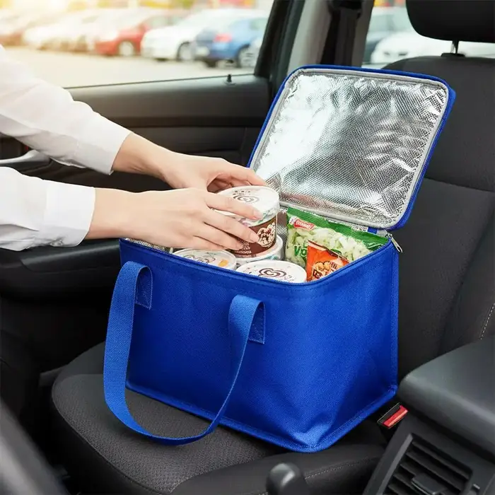 Sac isotherme portable pliable pour pique-nique