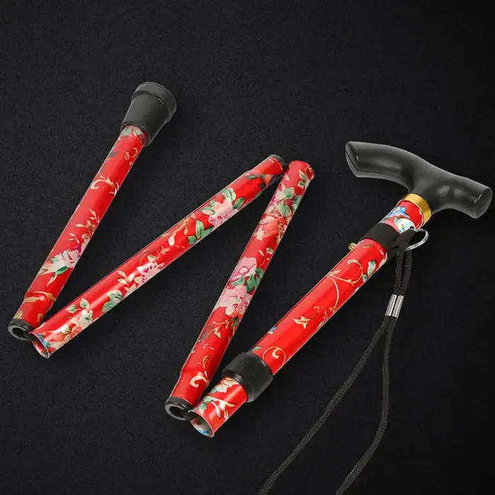 Bâton de Trekking télescopique canne de marche bâtons de randonnée fidélisés