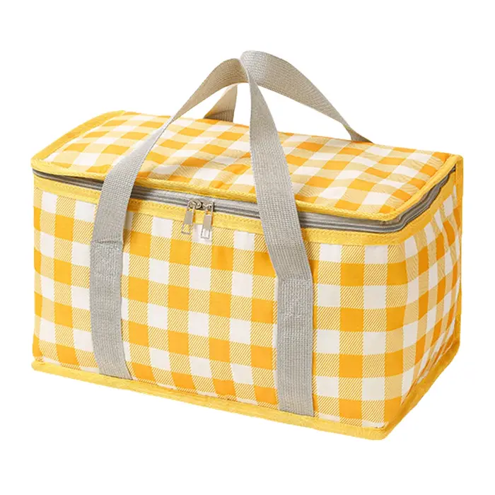 Sac de rangement pour le camping, grande capacité, sac isotherme portable, protection contre le froi