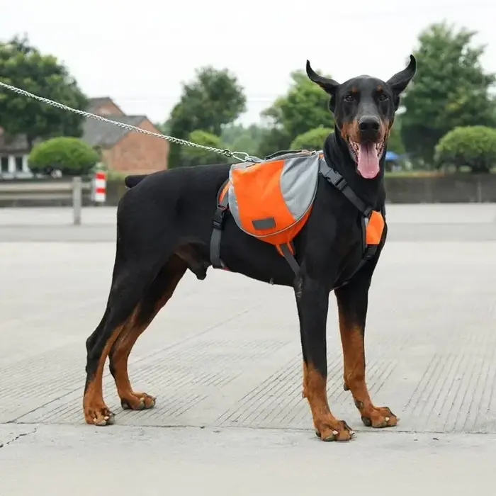 Sac à dos réfléchissant pour chien