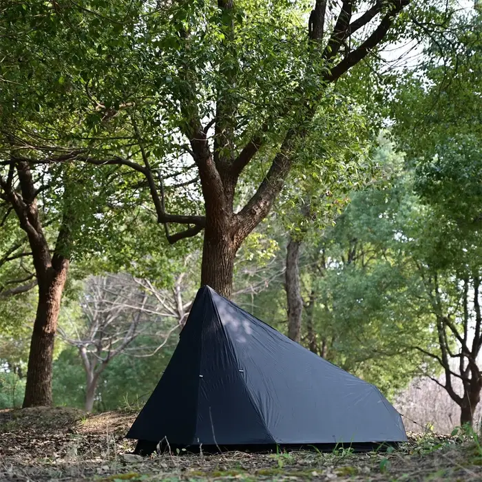 Tente de Trekking ultralégère de Camping en plein air, imperméable, Double couche, légère, facile à
