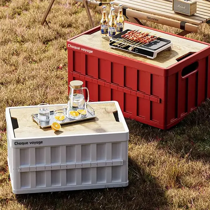 Boîte de rangement pliante de Camping en plein air 50L