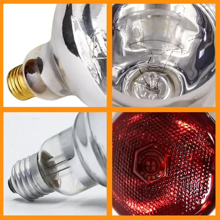 Lampe chauffante infrarouge pour volaille