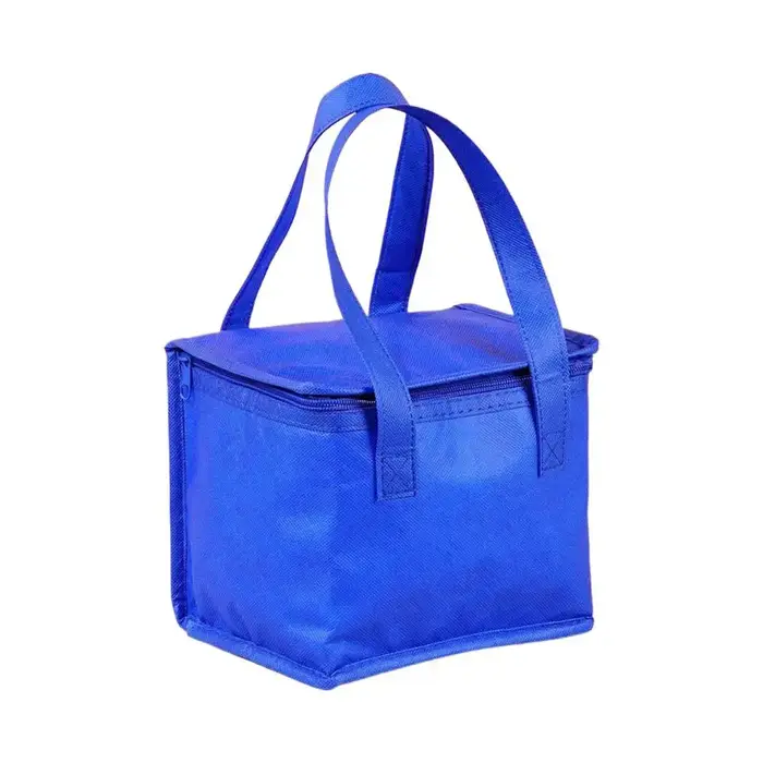 Sac isotherme portable pliable pour pique-nique, sac thermique pour aliments, sac de transport pour 