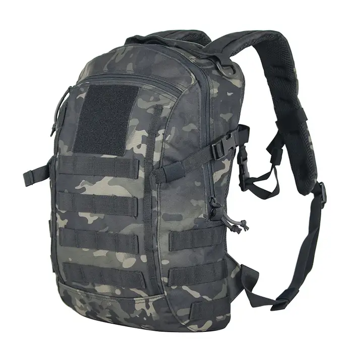 20L sacs à dos de randonnée Molle petit sac à dos tactique Sport hommes femmes EDC sac d'escalade sac à dos de voyage équipement de Camping