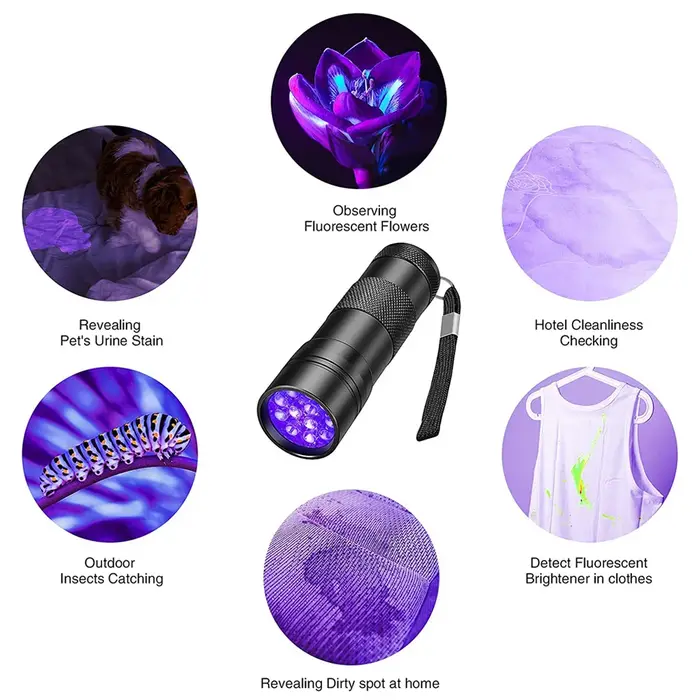 Lampes de poche UV portables étanches à lumière noire, 12 Led, 395nm, Mini détecteur de torche pour